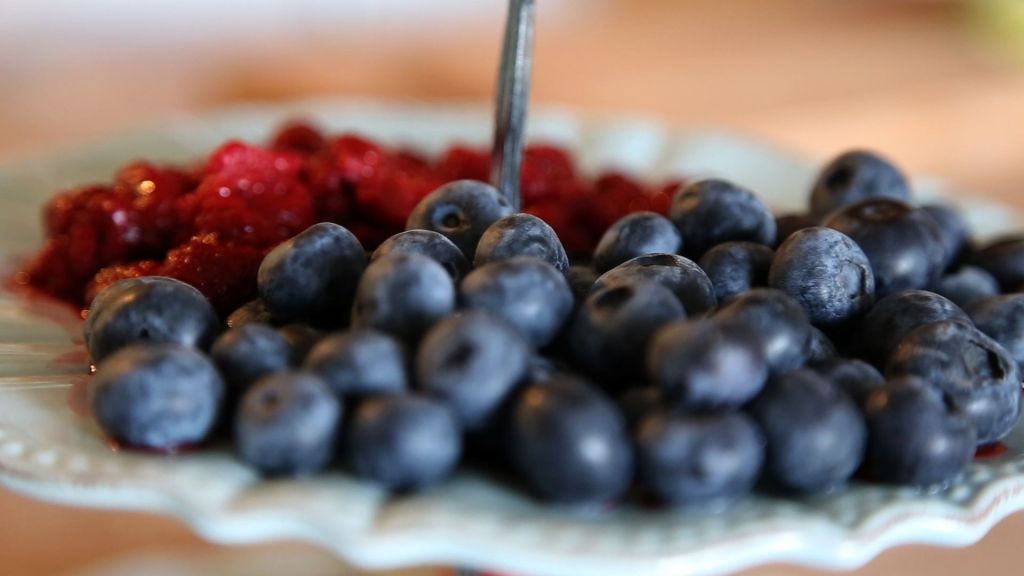 select_fechado 01021014