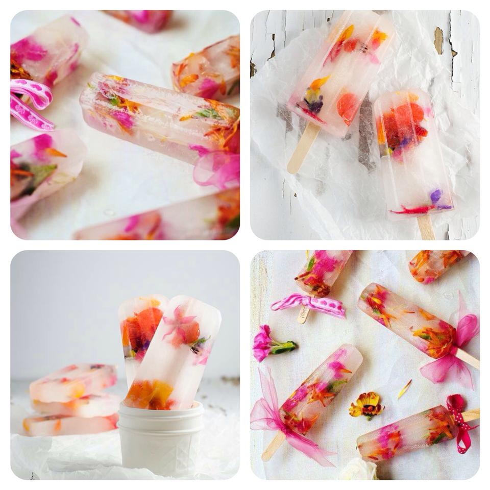 10945987_10152725884871896_1180210193_n