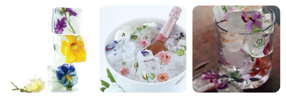 10952097_10152725887096896_565123205_n