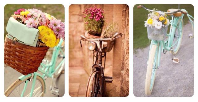 11046969_10152815124201896_170008034_n