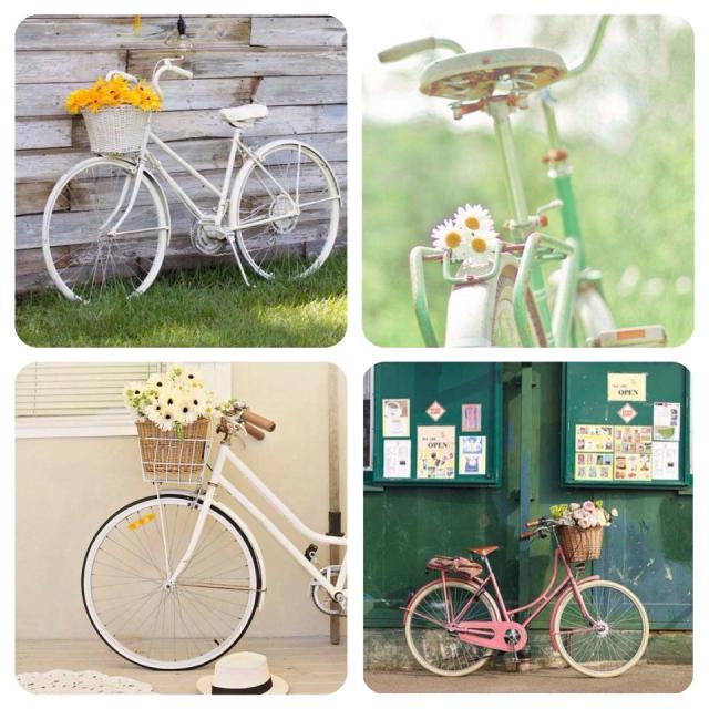 11051377_10152815124721896_1710308974_n