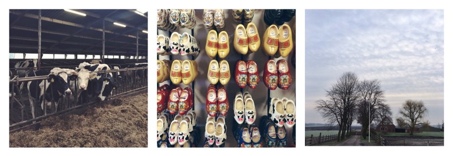 Processed with MOLDIV