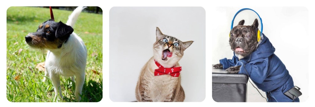 Greta, Marieta e Gael