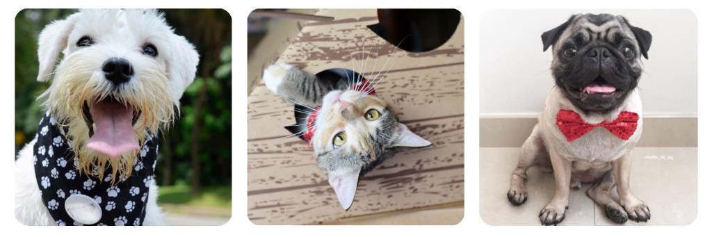 Laila, Sayuri e Bartho