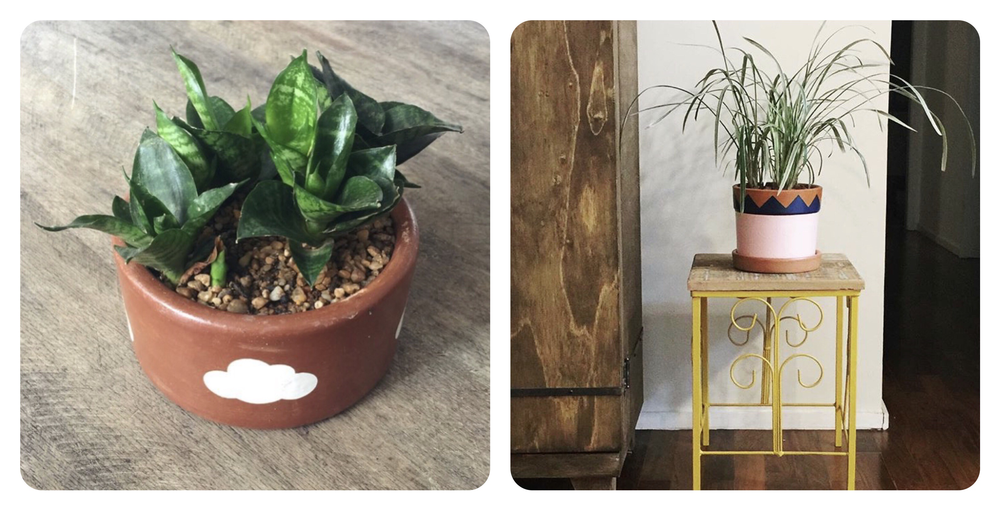 Processed with MOLDIV